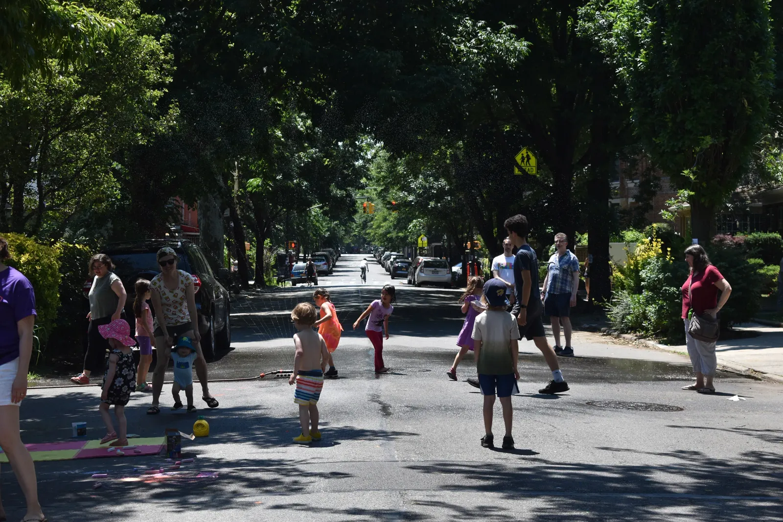 DPWNA block party in summer